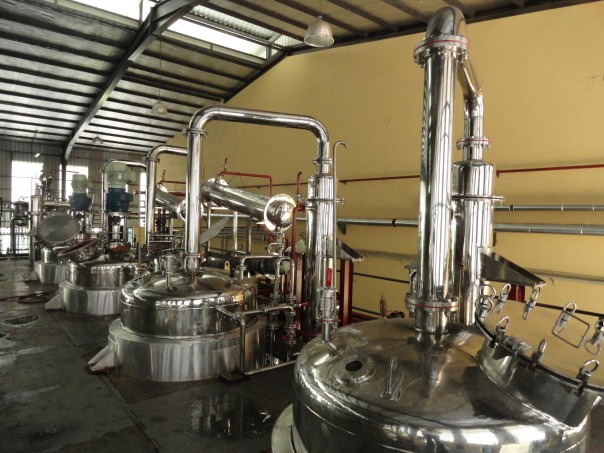 Curcumin Extraction Plant