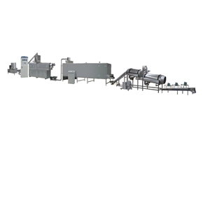 Puffed Snacks Plant